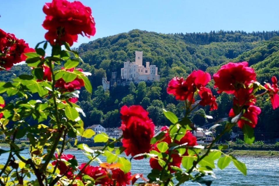 Villa Lahr Lahr  外观 照片